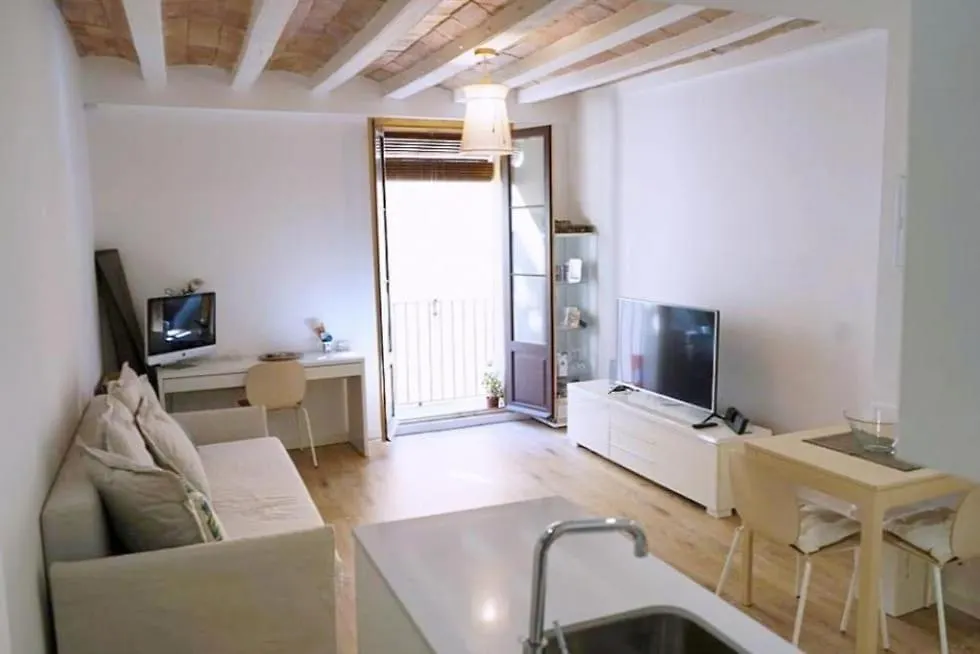 バルセロナLa Casa Verdeアパートメント スペイン